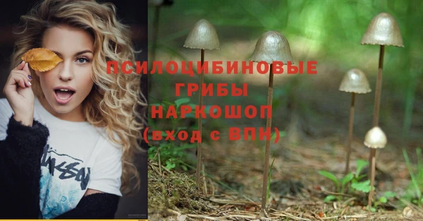 Альфа ПВП Бронницы