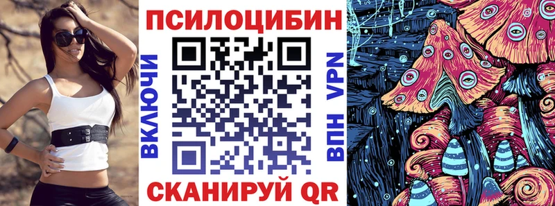 хочу   Новоржев  Псилоцибиновые грибы Magic Shrooms 